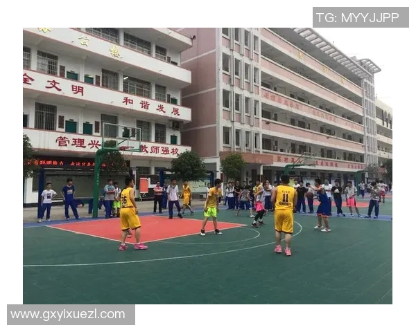 重庆篮球队心理素质排名第七揭示球队潜力与发展方向